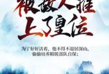 被追杀的我，被敌人推上了皇位无弹窗夏天司马兰最新章节列表-永恒文学