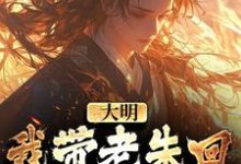 大明:我带老朱回了一趟明初热门小说(朱慈烺朱元璋)在线阅读无弹窗-永恒文学