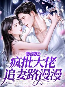 墨淮舟沈洛兮最新章节列表囚笼玫瑰：疯批大佬追妻路漫漫免费阅读