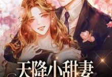 求助这本天降小甜妻:偏执大佬抱着哄小说在哪里可以看完结版-永恒文学