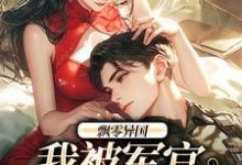 完结版飘零异国,我被军官强制爱在哪免费看,孟喃枝纪恙小说在线阅读-永恒文学