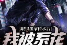 取得墨家传承后，我被系花盯上了免费阅读(陈瀚宁欣楠)小说免费读最新章节-永恒文学