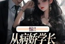 叶寒向暖最新章节惊！从病娇学长身边逃跑失败了免费阅读-永恒文学