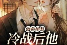 致命招惹：冷战后他靠撒娇求和在线看，李书妤许况小说大结局在哪免费看-永恒文学