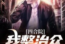 四合院：我整治众禽有一手热门小说(王大山)在线阅读无弹窗-永恒文学