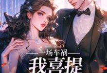 一场车祸，我喜提妻女一双？大结局，陈芸赵乾志小说无广告阅读-永恒文学