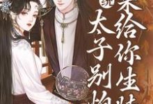 系统：太子别怕，我来给你生娃了免费阅读，许锦意大结局无弹窗-永恒文学