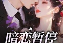 宋霜序贺庭洲小说免费阅读最新章节列表，暗恋暂停，开始恋爱小说在线看-永恒文学
