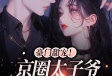 求助这本豪门甜宠！京圈太子爷是恋爱脑小说在哪里可以看完结版-永恒文学