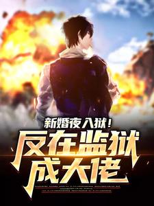 新婚夜入狱！反在监狱成大佬（主角秦风林婉儿）完结版免费阅读