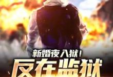 小说新婚夜入狱!反在监狱成大佬(秦风林婉儿)最新章节在哪看-永恒文学