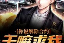 你说解除合约，干嘛求我回去热门小说(陆洲)在线阅读无弹窗-永恒文学