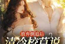 完结版放弃倒追后，清冷校草说他喜欢我在哪免费看，苏晚秋小说在线阅读-永恒文学