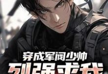 小说穿成军阀少帅，列强求我别扩军了主角秦林免费阅读-永恒文学