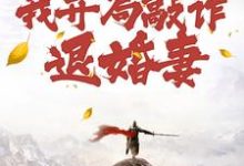 穿到修仙界，我开局敲诈退婚妻（主角顾风）完结版免费阅读-永恒文学