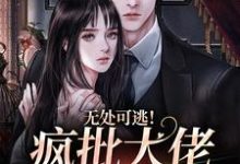 姜亦乔在线阅读，无处可逃！疯批大佬强制爱小说完结版章节-永恒文学