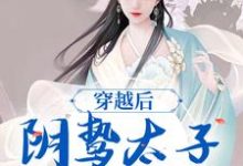 穿越后，阴鸷太子为爱发疯精彩章节在线免费阅读（苏锦东陵璟）-永恒文学