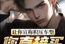 让你宣称积压车型，你直接买脱销？免费阅读，苏晨大结局无弹窗-永恒文学