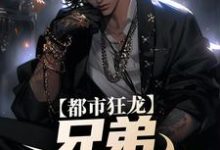 精彩章节阅读亲哥出狱，带我起飞有错吗(宋渔向影)免费小说在线看-永恒文学