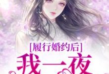 履行婚约后,我一夜变首富免费阅读,江云初商司爵大结局无弹窗-永恒文学