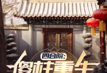 四合院：傻柱重生，收养破局免费阅读(傻柱秦淮茹)小说免费读最新章节-永恒文学