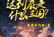 这到底是什么三国热门小说(陈默)在线阅读无弹窗-永恒文学