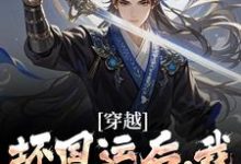 穿越：坏国运后，我要飞升成仙（主角李天唐含雪）完结版免费阅读-永恒文学