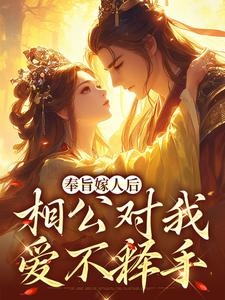 奉旨嫁人后，相公对我爱不释手免费阅读(林思棠北辰砚)小说免费读最新章节