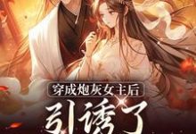 沈毓灵权明赫最新章节踹掉言情男主，勾搭男频帝王免费阅读-永恒文学