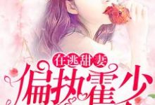 苏绵绵在线阅读，在逃甜妻：偏执霍少放肆宠小说完结版章节-永恒文学