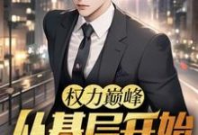 权力巅峰：从基层开始步步高升精彩章节在线免费阅读（林漫）-永恒文学