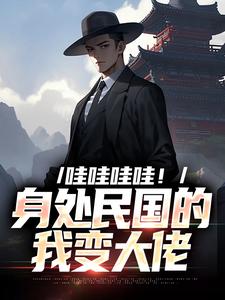 哇哇哇哇！身处民国的我变大佬免费阅读，苏墨大结局无弹窗