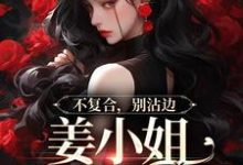 不复合,别沾边,姜小姐又美又飒大结局,顾衍泽苏辞心小说无广告阅读-永恒文学