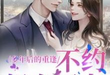多年后的重逢,不约,姐有男友大结局,禾念安傅璟忱小说无广告阅读-永恒文学