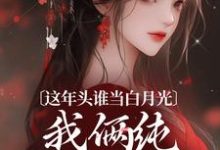 这年头谁当白月光，我俩纯纯走剧情（温沅李昭）最新章节在线阅读-永恒文学