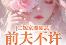 阮莞厉渊小说,二嫁京圈霸总前夫不许来捣乱热门小说(阮莞厉渊)在线阅读无弹窗-永恒文学