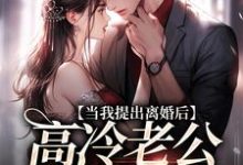 当我提出离婚后,高冷老公哭红了眼最新章节当我提出离婚后,高冷老公哭红了眼在线阅读-永恒文学