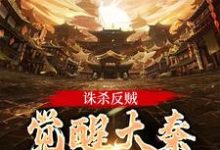 诛杀反贼，觉醒大秦千年气运在线看，嬴启小说大结局在哪免费看-永恒文学