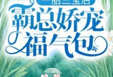 小说一胎三宝后,霸总娇宠福气包主角陆北城江如意免费阅读-永恒文学