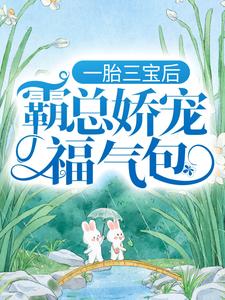 小说一胎三宝后，霸总娇宠福气包主角陆北城江如意免费阅读