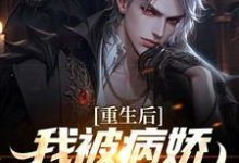 被病娇财阀抢婚后，校花悔哭完结版林轩苏婳免费阅读大结局-永恒文学