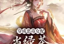 胡说，她才不是坏女人！小说资源求分享，胡说，她才不是坏女人！乔挽颜在线阅读-永恒文学