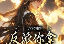 六宫独宠,反派你拿什么和我斗小说资源求分享,六宫独宠,反派你拿什么和我斗谢淑华在线阅读-永恒文学