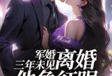 姜柠沈墨小说免费阅读最新章节列表，结婚三年不回家，军婚也得离小说在线看-永恒文学