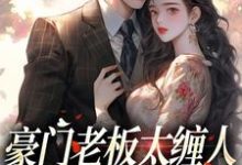 豪门老板太缠人，为她折腰为她疯在线看，沈雾徐宴行小说大结局在哪免费看-永恒文学