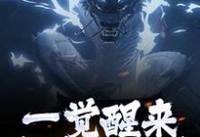 小说女尊人夫：被逆徒强推的白衣剑仙主角叶尘渊江月寒免费阅读-永恒文学