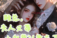 顾总，夫人又带小少爷认爹去了大结局，顾知衍苏禾小说无广告阅读-永恒文学