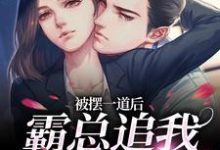 完结版被摆一道后，霸总追我火葬场在哪免费看，池浅顾锦城小说在线阅读-永恒文学