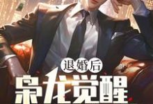 退婚后,枭龙觉醒,镇压当世小说最新章节在哪里可以免费看-永恒文学