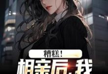 糟糕！相亲后，我被女总掳进门在线看，陈楚河小说大结局在哪免费看-永恒文学